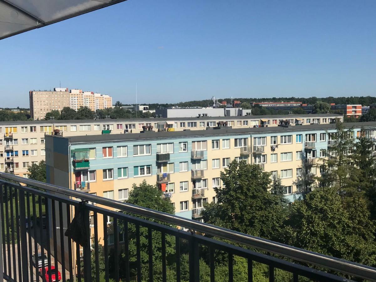 Pogodny